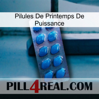 Power Spring Pills viagra1
